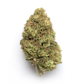 Berry Pie